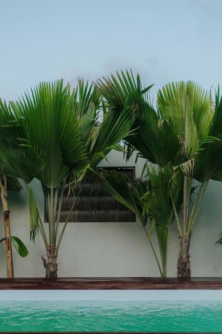 Breezy Chalet - Chale Havai Tutóia Buitenkant foto